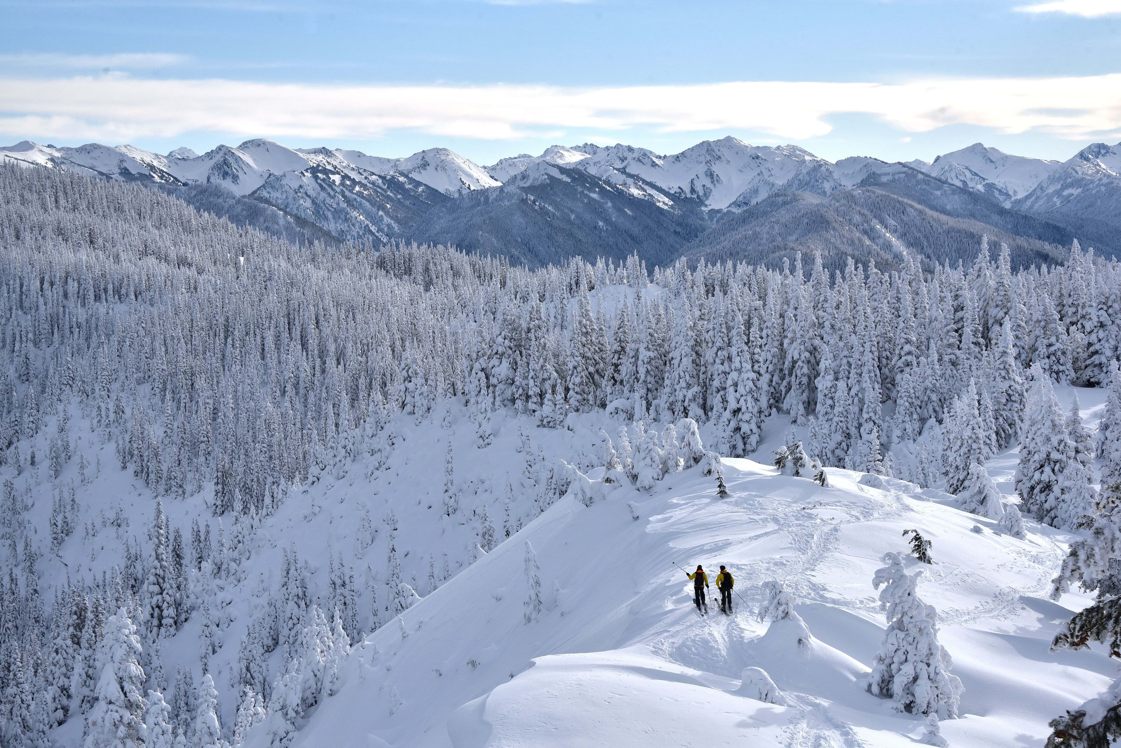 Professional skiers descending pristine powder snow slopes in Georgia's Caucasus mountains with helicopter and snowcat skiing adventures in Bakhmaro winter resort