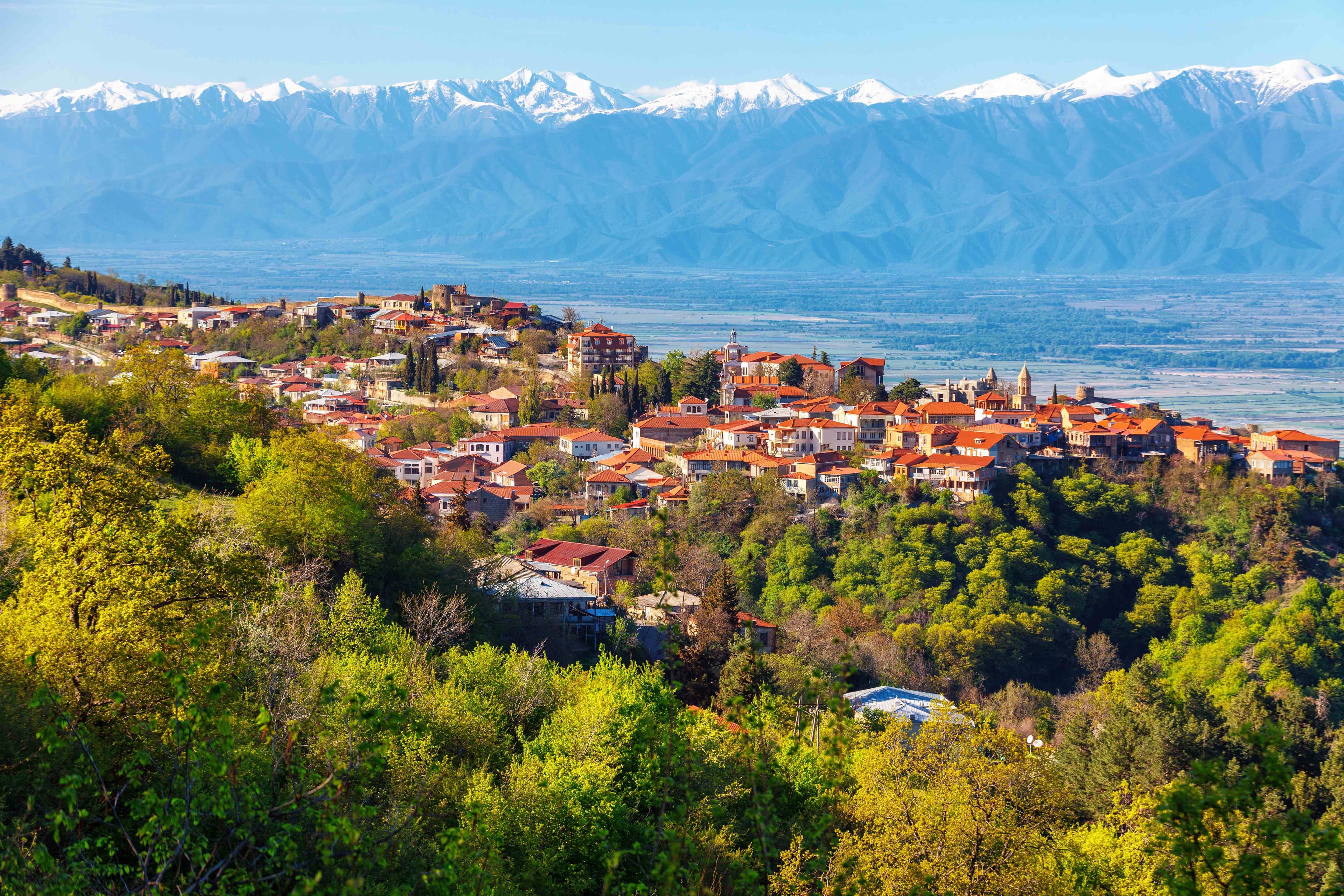 Historic Sighnaghi wine town with traditional red-tiled roofs overlooking Alazani Valley vineyards and snow-capped Caucasus mountains